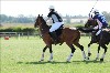 UKPA NC SAT_2273